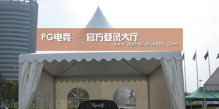 案例标题八