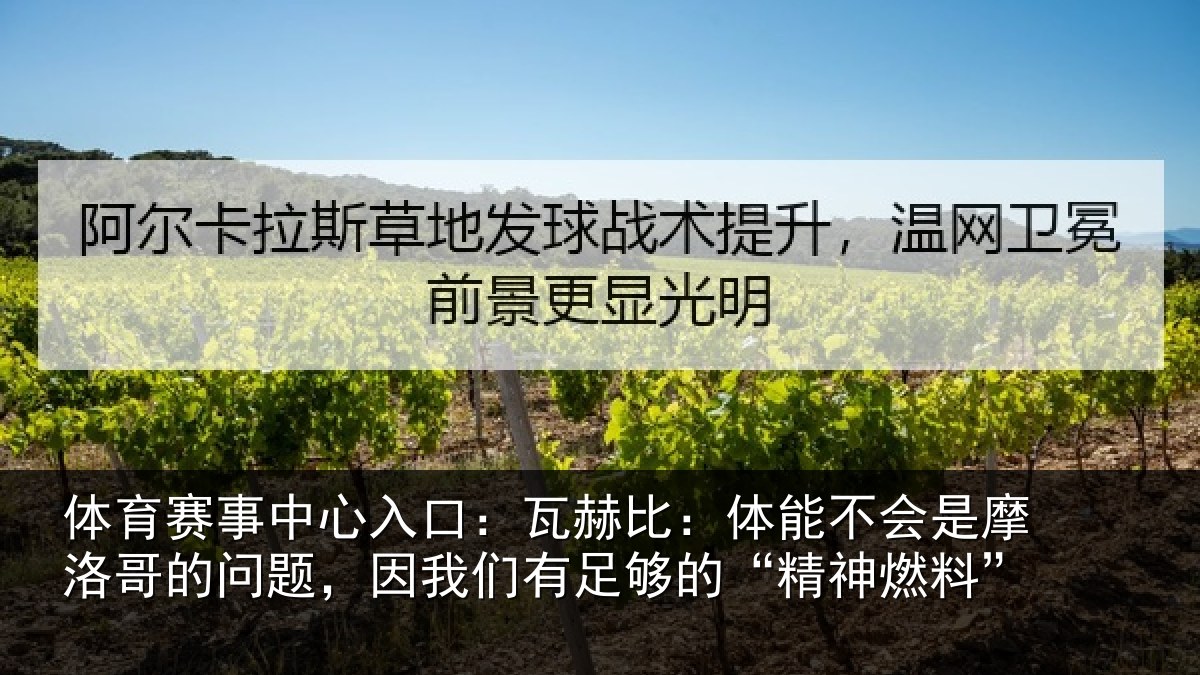 体育赛事中心入口:瓦赫比:体能不会是摩洛哥的问题,因我们有足够的“精神燃料”