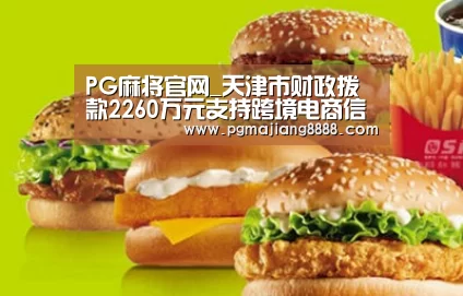 PG麻将官网_天津市财政拨款2260万元支持跨境电商信息化服务平台(图1) PG电竞