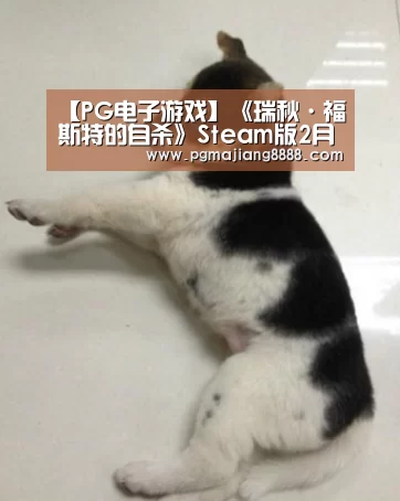 【PG电子游戏】《瑞秋·福斯特的自杀》Steam版2月20日发售 游戏支持简中(图1) PG电竞