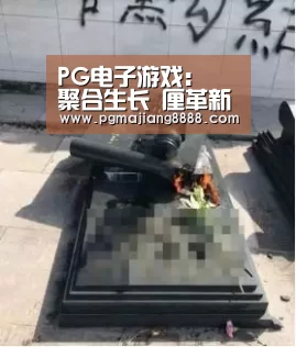 PG电子游戏:
聚合生长 厘革新生 !2020厦峰会如约而至(图4) PG电子游戏