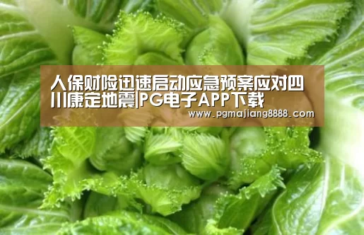 PG电竞