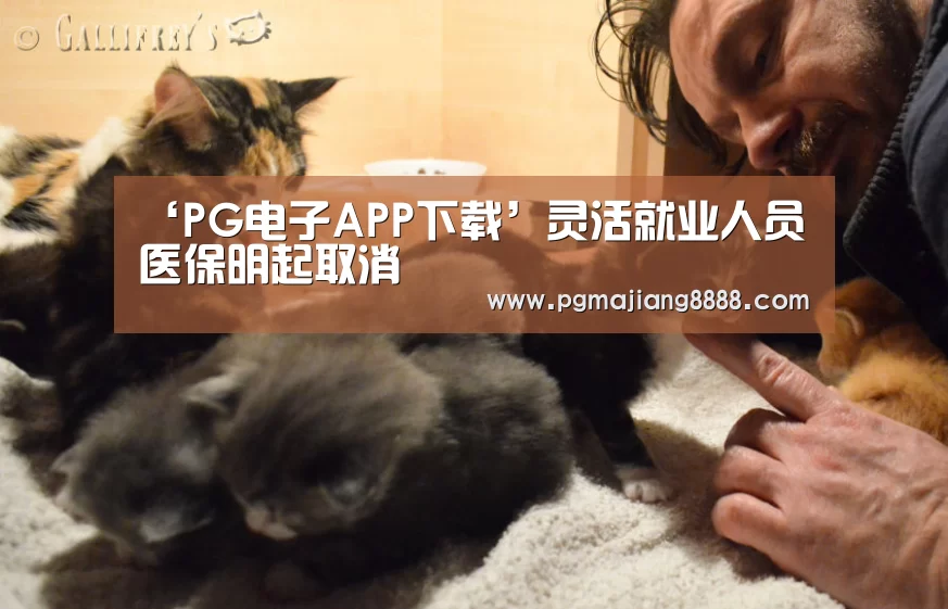 ‘PG电子APP下载’灵活就业人员医保明起取消(图1) PG电竞