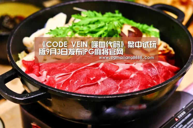 《CODE VEIN 噬血代码》繁中试玩版9月3日发布|PG麻将官网(图1) PG电竞