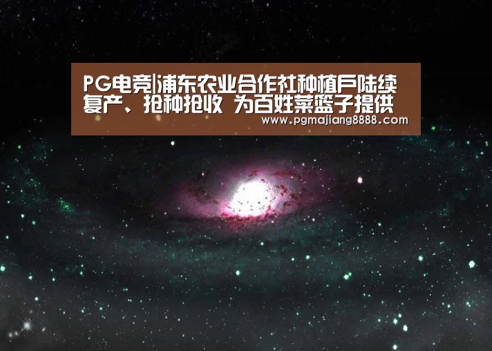 PG电竞|浦东农业合作社种植户陆续复产、抢种抢收 为百姓菜篮子提供更大保障(图2) PG电子游戏