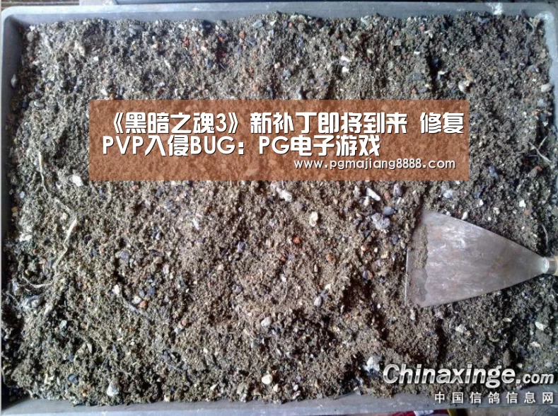 《黑暗之魂3》新补丁即将到来 修复PVP入侵BUG:PG电子游戏(图1) PG电子APP下载