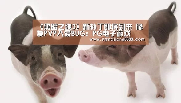 《黑暗之魂3》新补丁即将到来 修复PVP入侵BUG:PG电子游戏(图3) PG电子APP下载
